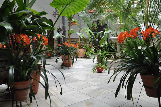 HOTEL CASA DE LOS AZULEJOS - photo 4
