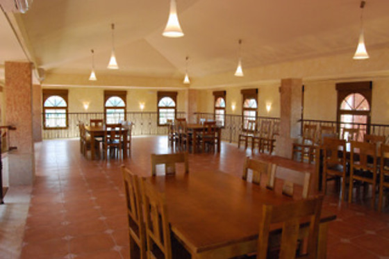 BODEGAS PRADO DE OLMEDO - photo 0