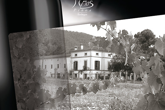 BODEGAS LOS PINOS - photo 4