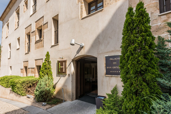 HOSPES PALACIO DE SAN ESTEBAN - photo 5