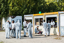 Paradise Paintball
