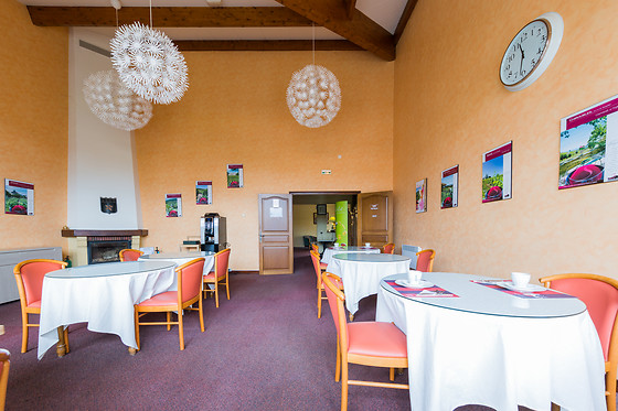 Hotel Des Grands Vins - photo 15