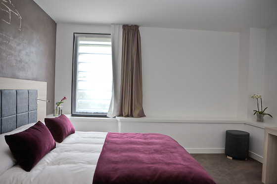 Best Western Villa Saint Antoine - photo 17