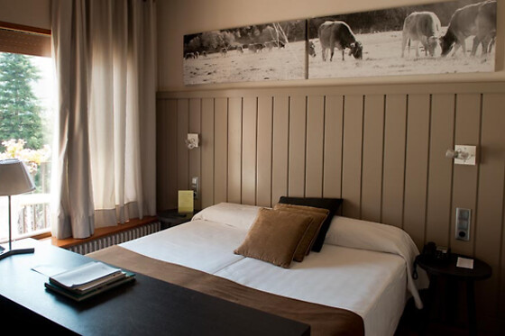HOTEL PESSETS - photo 11