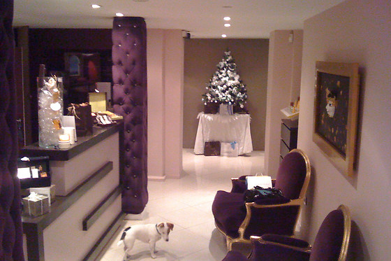 Secret Spa Chantilly - photo 6