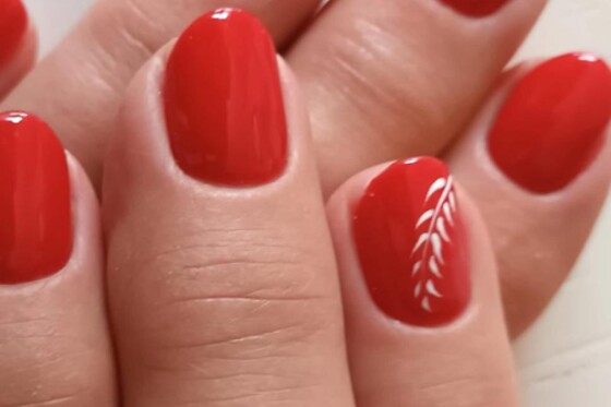 Toute en Beauté - photo 15