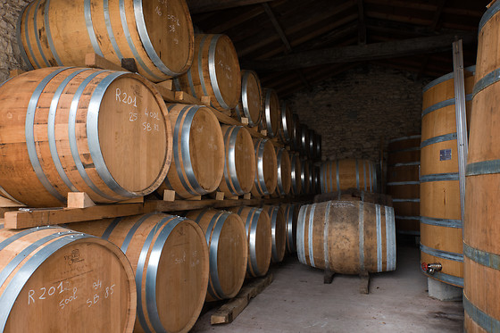 La Ferme de Chez Piché - photo 10