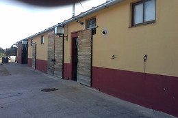 LAS BEATAS Y ZIELO LAS BEATAS