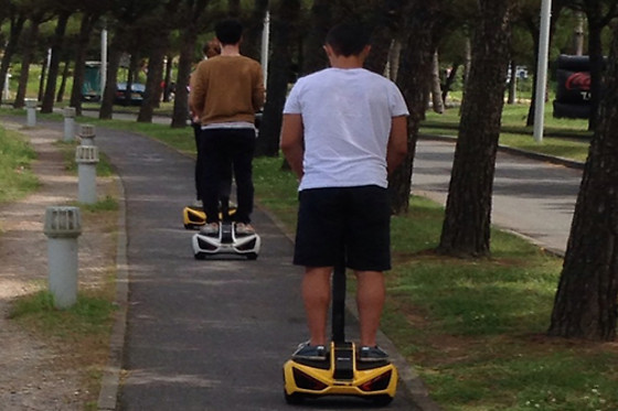 Gyrozone - photo 5
