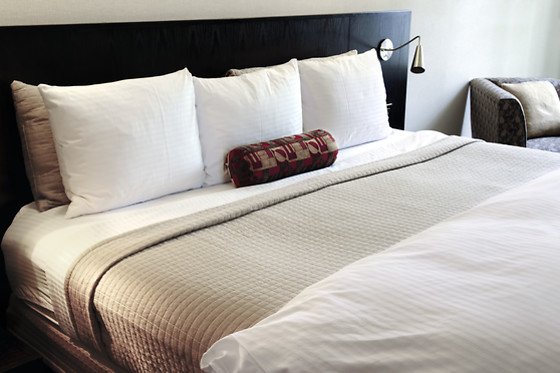 HOTEL  DELPHOS - photo 8