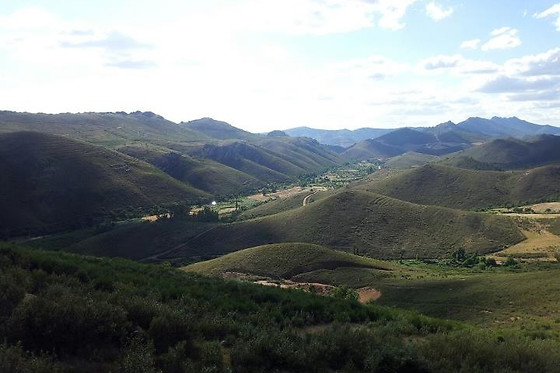 BODEGAS RUIZ TORRES - photo 1
