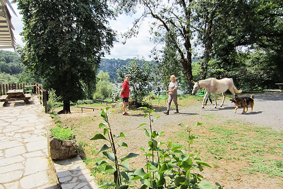 Ferme du Lac - photo 7