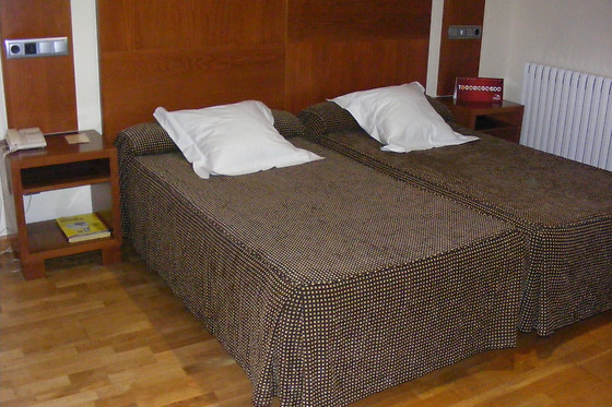 HOTEL CESARAUGUSTA - photo 5