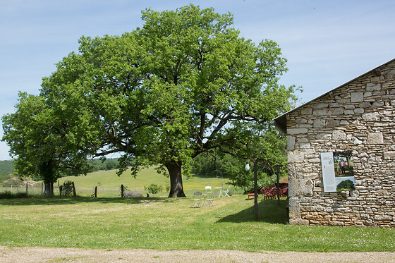Domaine de Bel-Air - photo 5