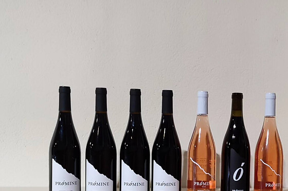 BODEGAS PETRÓN - photo 4