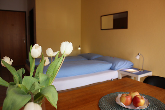 Seehotel Sternen Brienz - photo 18
