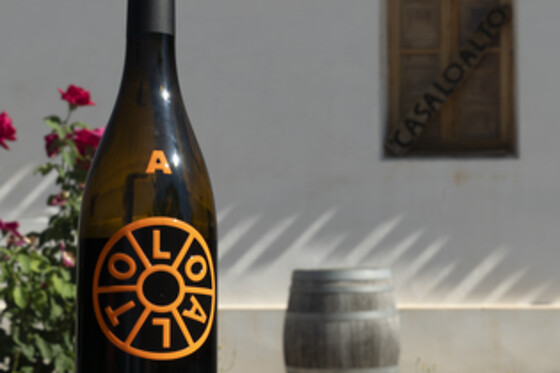 BODEGAS LOALTO - photo 1