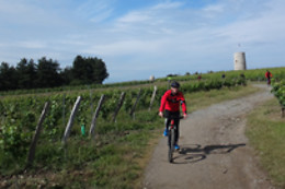 SENSATION VTT