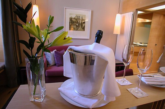HOTEL RESORT BALNEARIO DE PANTICOSA - photo 22