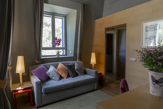 HOTEL RESORT BALNEARIO DE PANTICOSA - photo 23