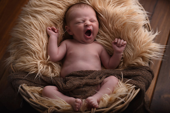 Fotografie Lies Huyskens - photo 6
