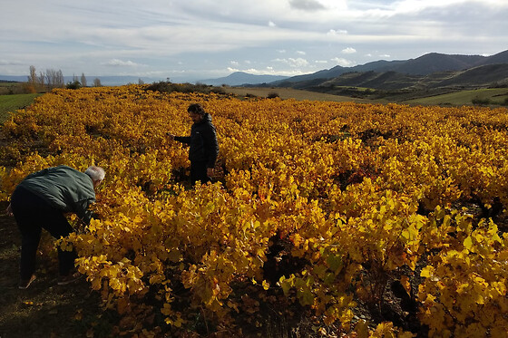 BODEGAS CAUDALÍA - photo 6