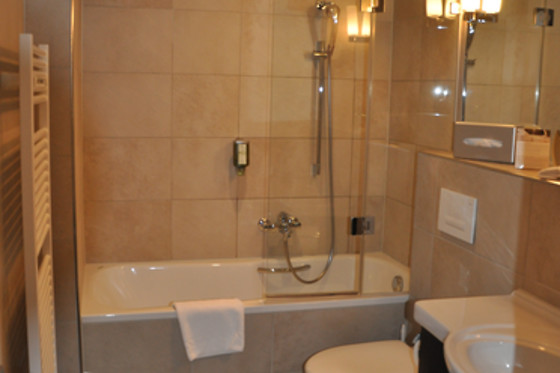 Hotel Krebs - photo 8
