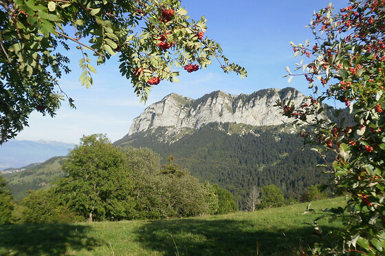 Chalet Le Titlis - photo 16