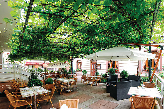 Hôtel du Parc*** Welness & Spa - Restaurant L'Alexain - photo 3
