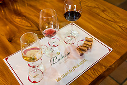 BODEGAS PALACIO DE LERMA