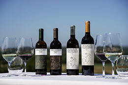HERDADE DE COELHEIROS