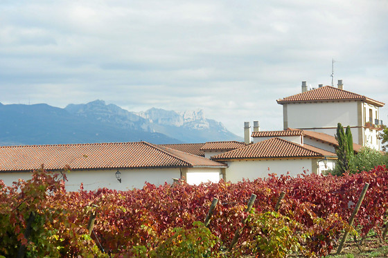 BODEGAS SANTALBA - photo 1