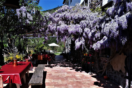 Le Sorgenti del Gromolo - photo 13