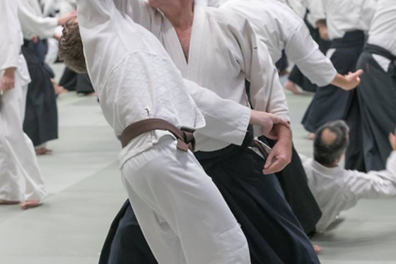 Aïkido Shugyo Dojo Brabant Wallon - photo 19