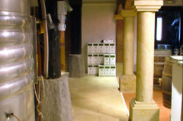 BELDUI TXAKOLINA