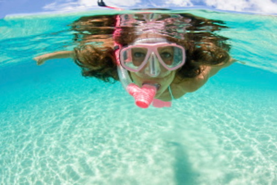 SCUBA PLUS - photo 4