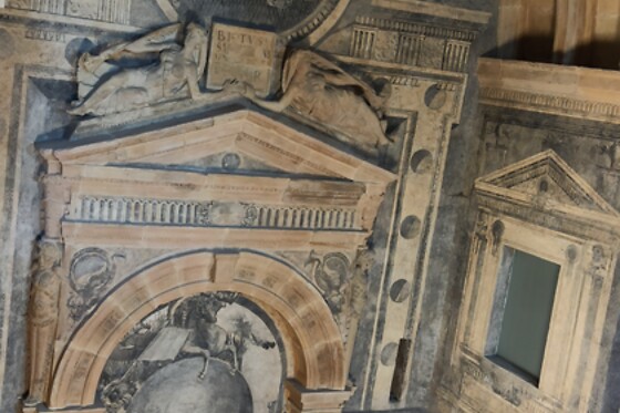 BASK ALIVE - photo 4