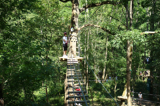 Natura Game - photo 12