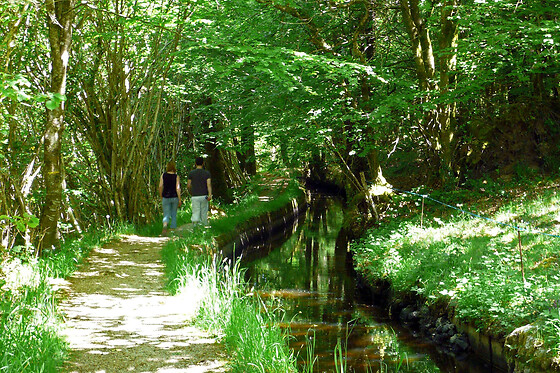 La rivière d'argent - photo 17
