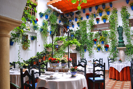 RESTAURANTE PUERTA SEVILLA - photo 0