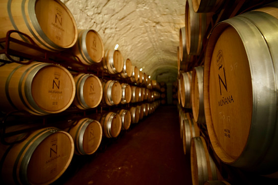 BODEGAS MUÑANA - photo 4