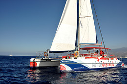 WHITE TENERIFE